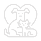 Pet Aksesuar Pet Aksesuar