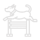 Pet Akademi Pet Akademi