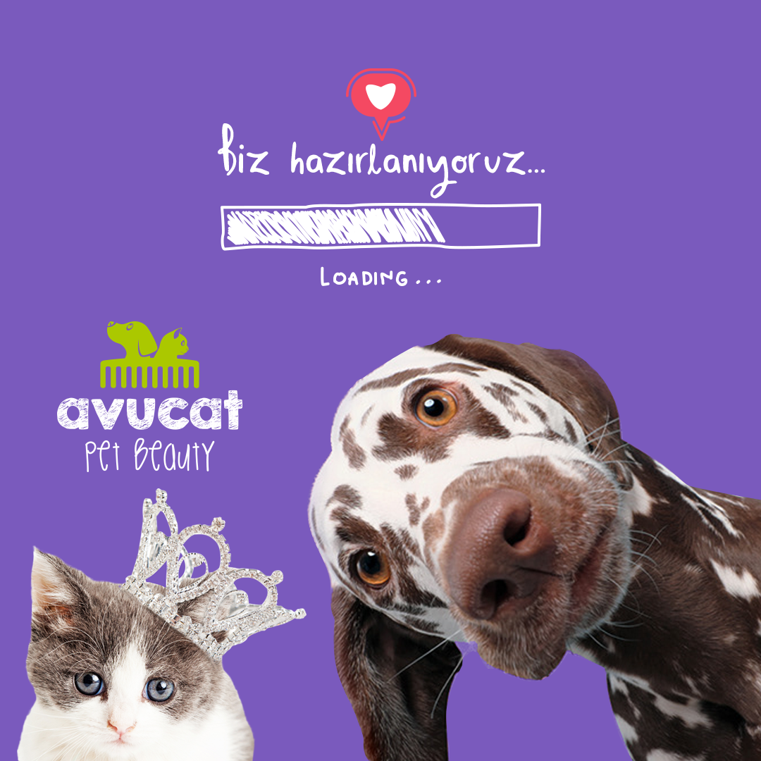 Avucat Pet Beauty