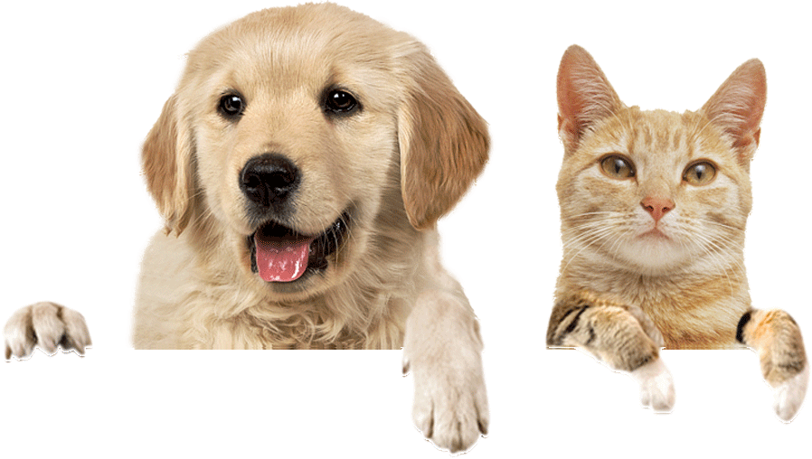 1e5bbfee image 15 1 - Hidroterapi